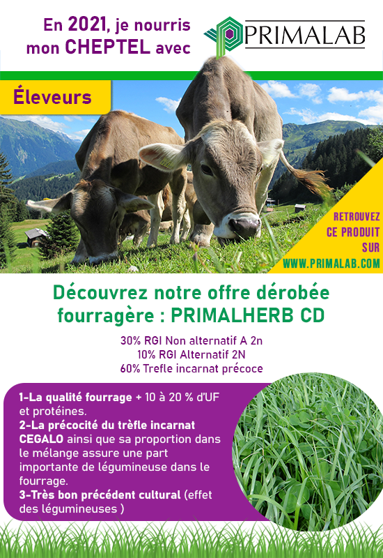 PRIMALHERB CD Dérobées fourragères